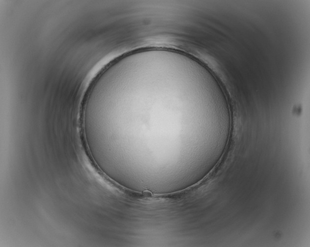 X0000113131331200909251230