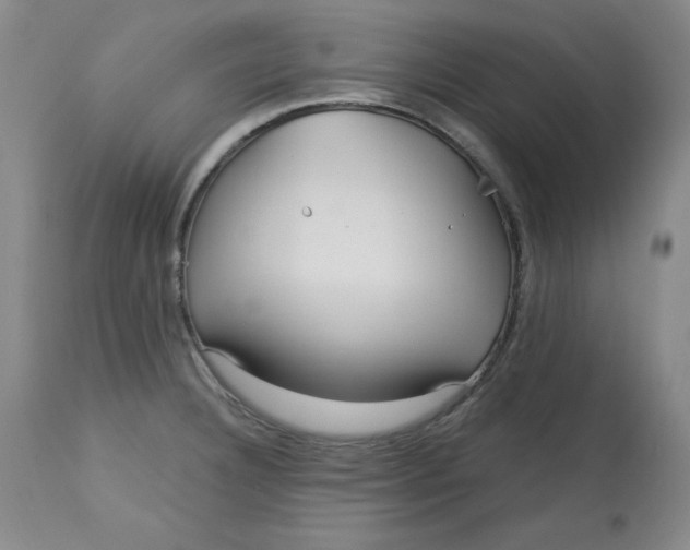 X0000113131332200909251230