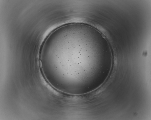 X0000113131334200909251230