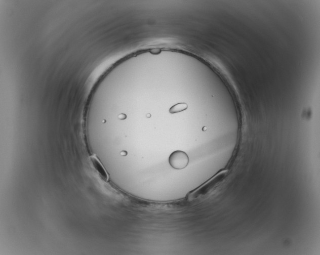 X0000113131336200909251230