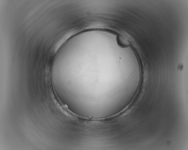 X0000113131337200909251230