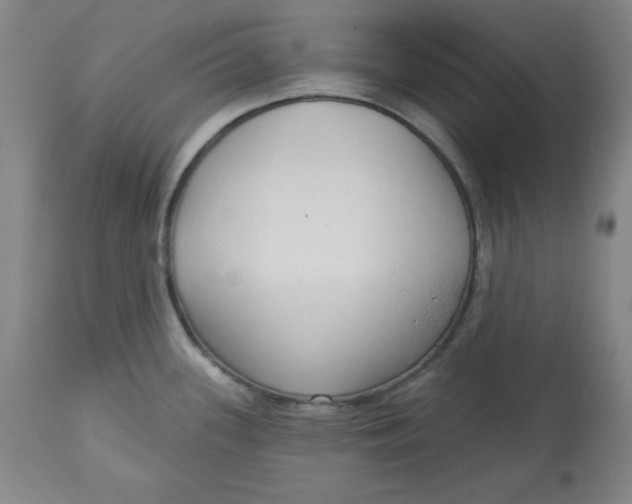 X0000113131339200909251230