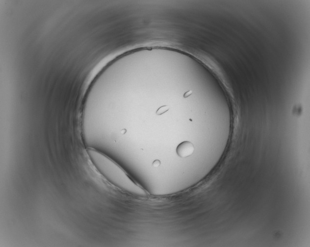 X0000113131340200909251230