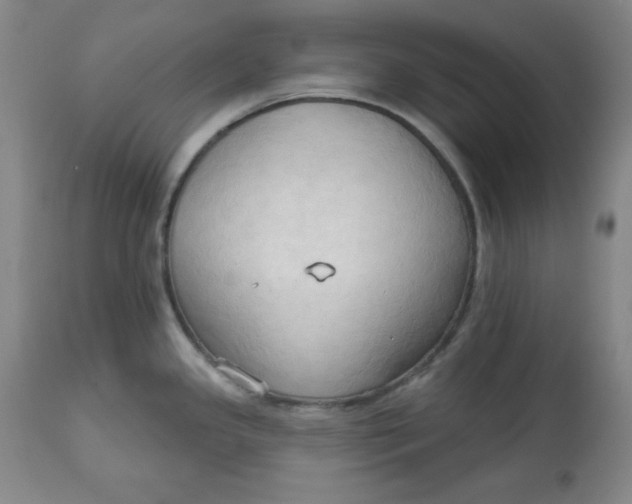 X0000113131341200909251230