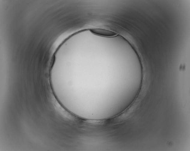 X0000113131344200909251230