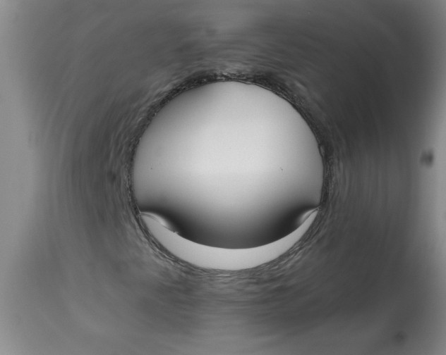 X0000113131345200909251229