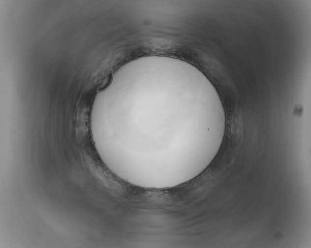 X0000113131346200909251229