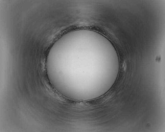 X0000113131348200909251229