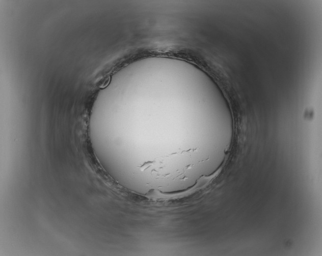 X0000113131349200909251229