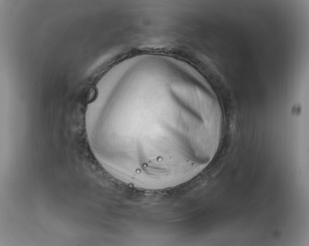 X0000113131350200909251229