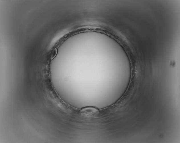 X0000113131352200909251229