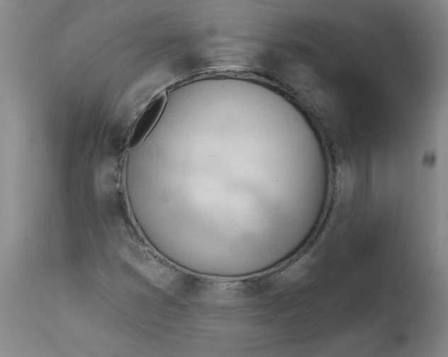 X0000113131353200909251229