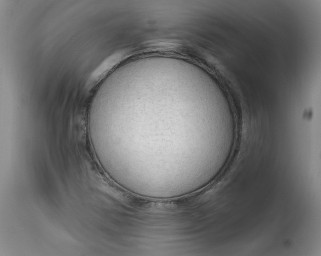 X0000113131354200909251229