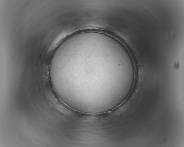 X0000113131355200909251229