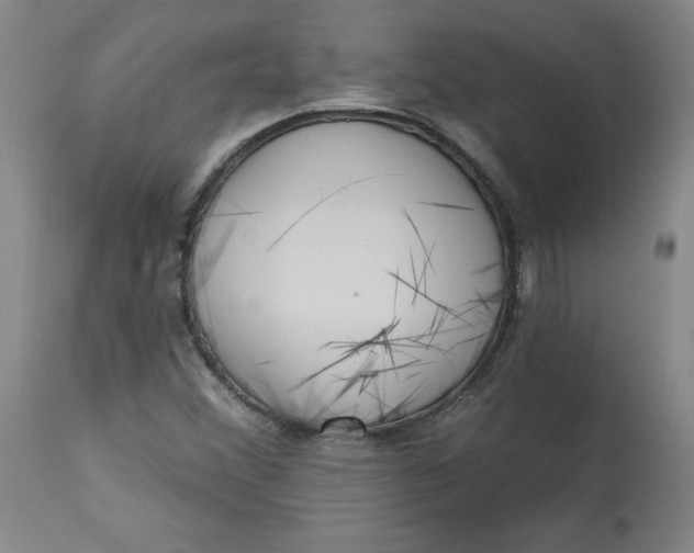 X0000113131356200909251229