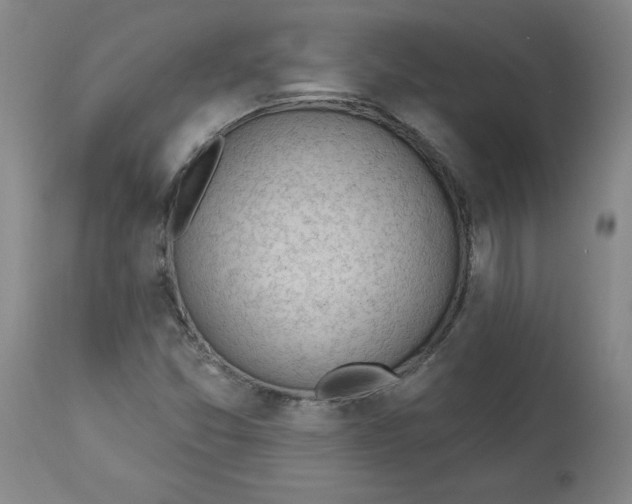 X0000113131357200909251229