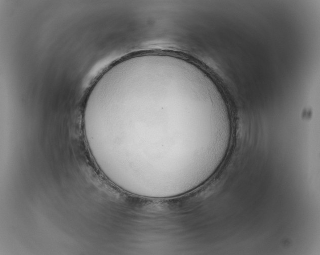 X0000113131358200909251229