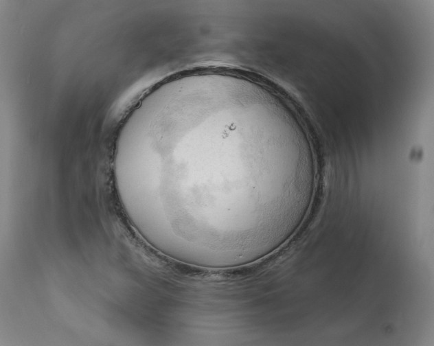 X0000113131359200909251229