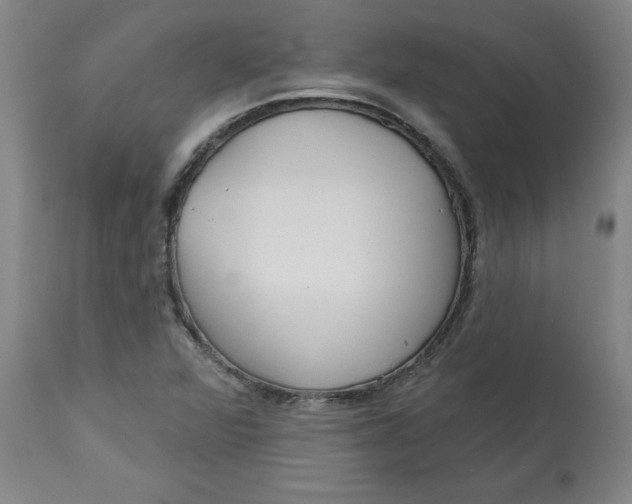 X0000113131360200909251229