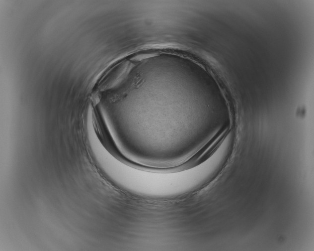 X0000113131361200909251229