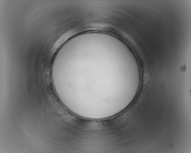 X0000113131362200909251229