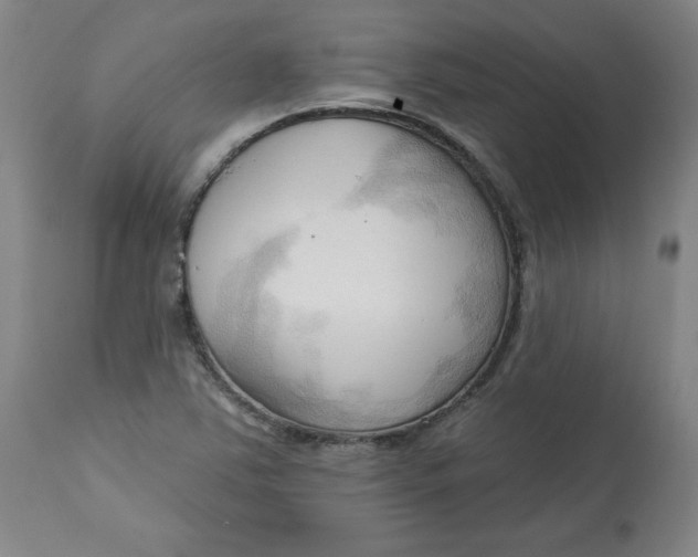 X0000113131363200909251229