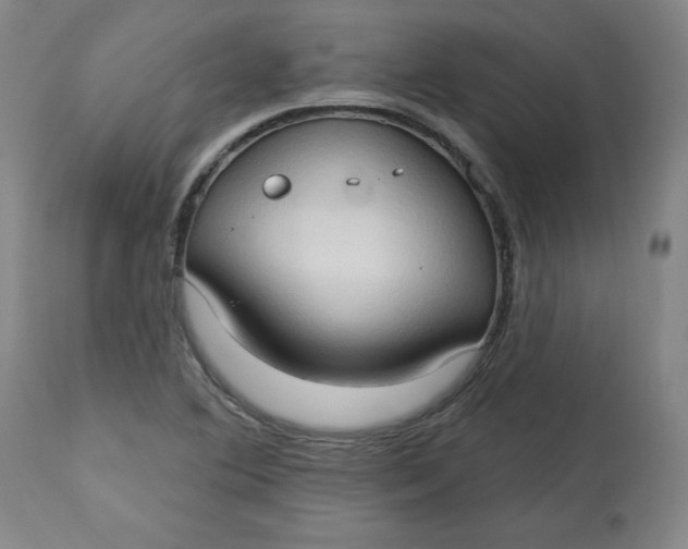 X0000113131364200909251229