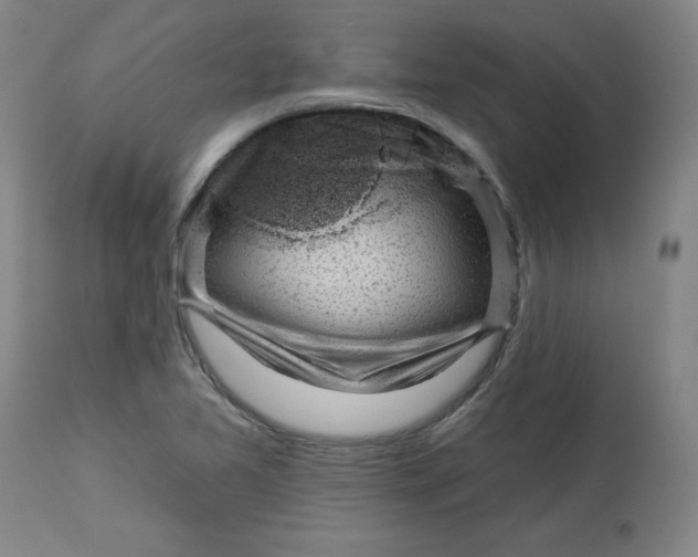 X0000113131365200909251229