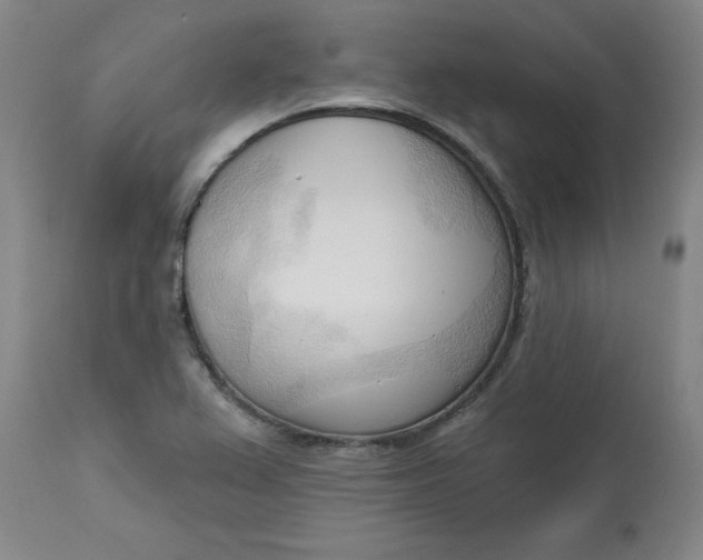 X0000113131367200909251229