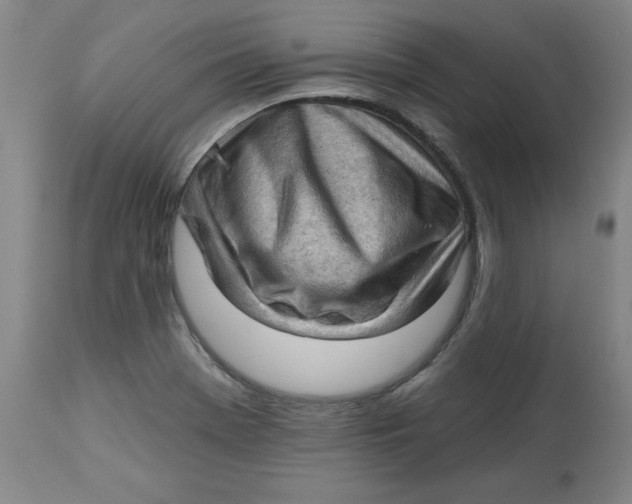 X0000113131369200909251229