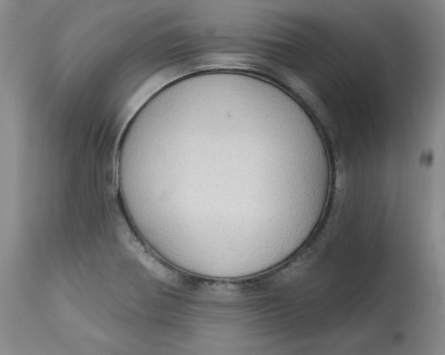 X0000113131370200909251229