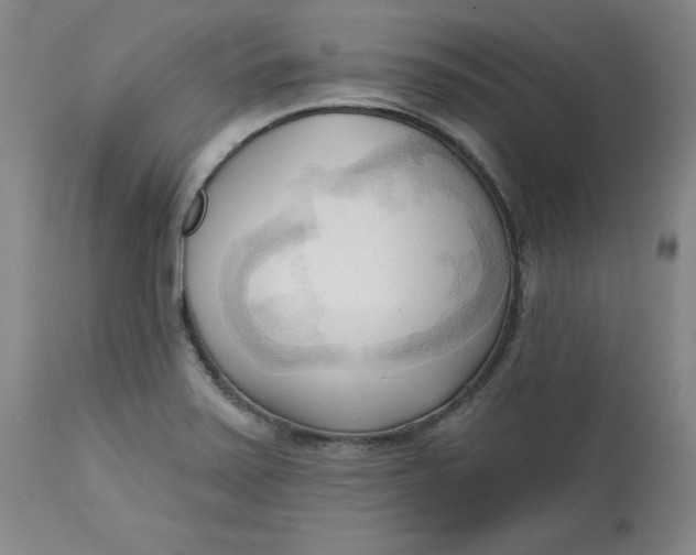 X0000113131371200909251229