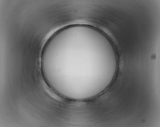 X0000113131372200909251229