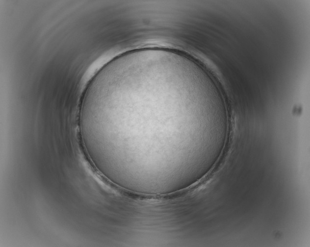 X0000113131373200909251229