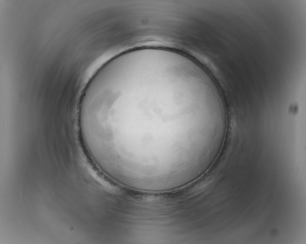 X0000113131375200909251229