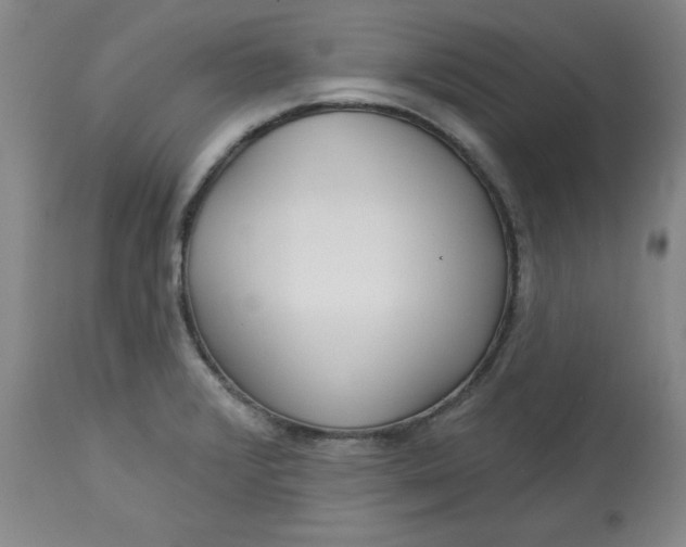 X0000113131376200909251229