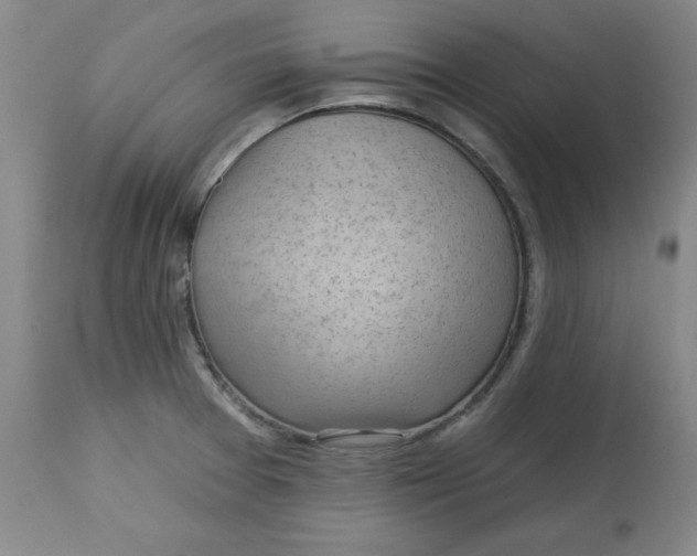 X0000113131377200909251229