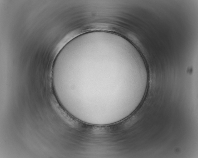 X0000113131378200909251229