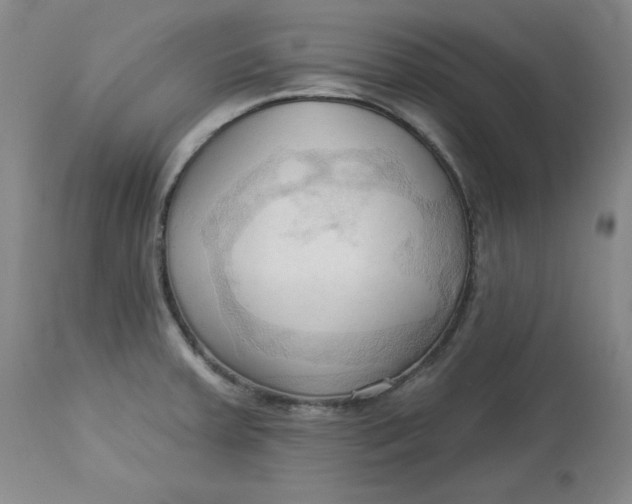 X0000113131379200909251229