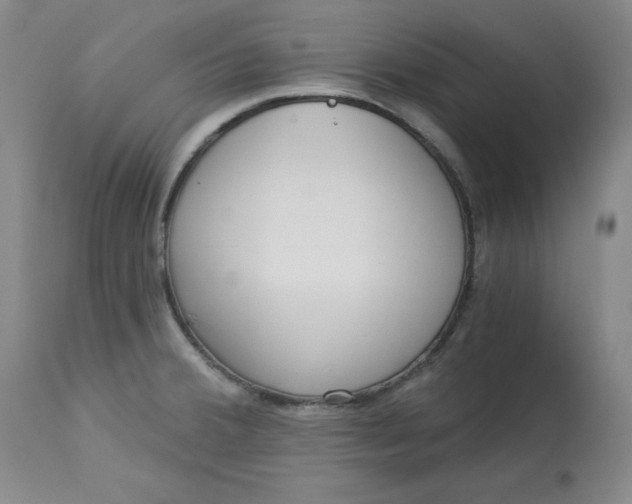 X0000113131380200909251229