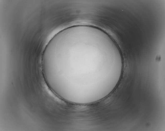 X0000113131382200909251229