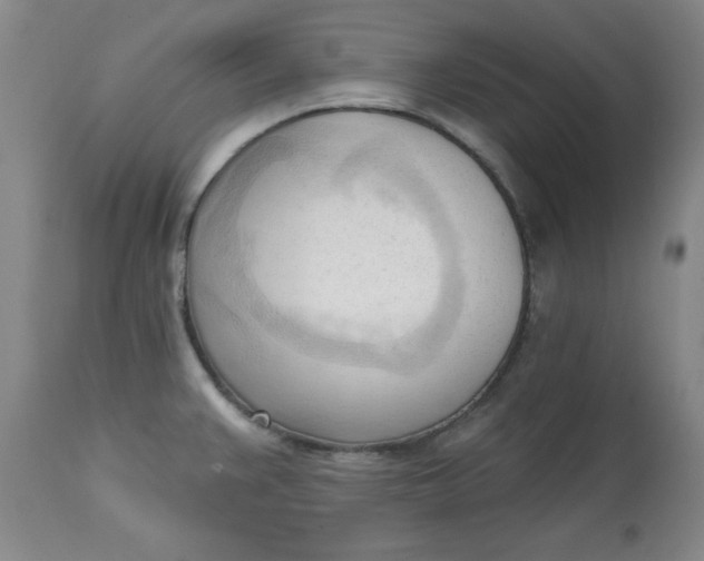 X0000113131383200909251229