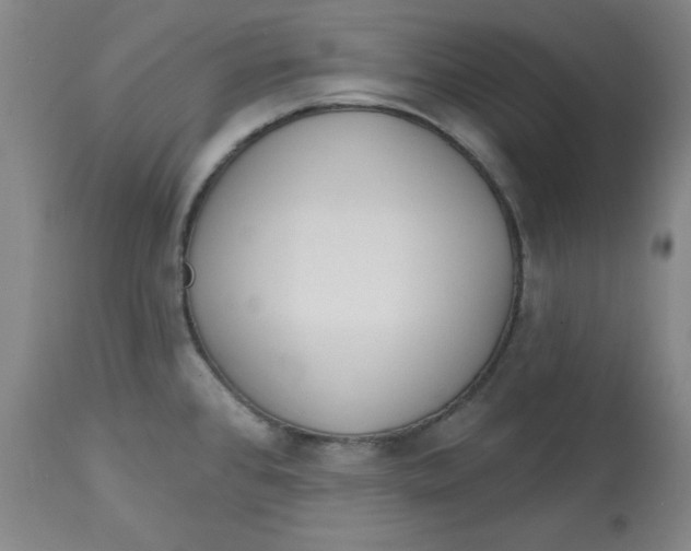 X0000113131384200909251229