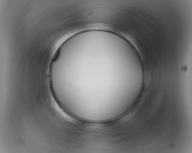 X0000113131387200909251228