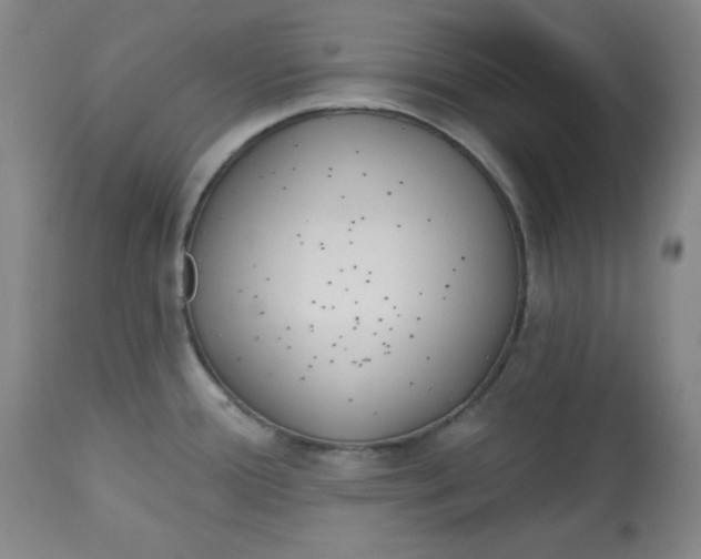 X0000113131388200909251228