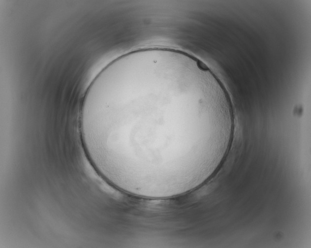 X0000113131390200909251228