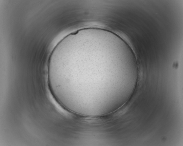 X0000113131391200909251228