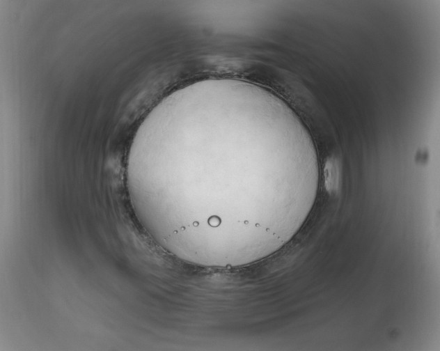 X0000113131395200909251228