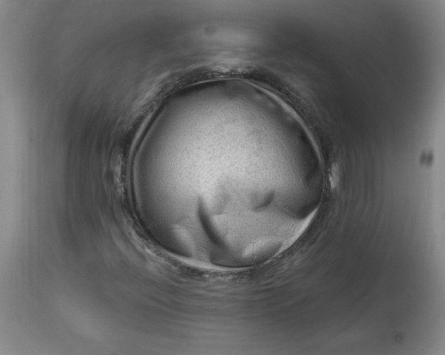 X0000113131396200909251228