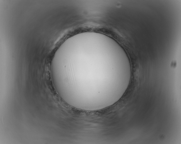 X0000113131397200909251228